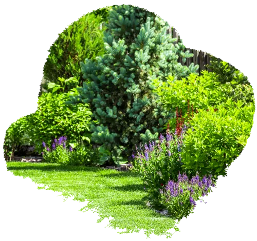Welcome to <br> Rubio Lawn Care II LLC!
